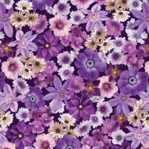 Meet your Posher, Ayana